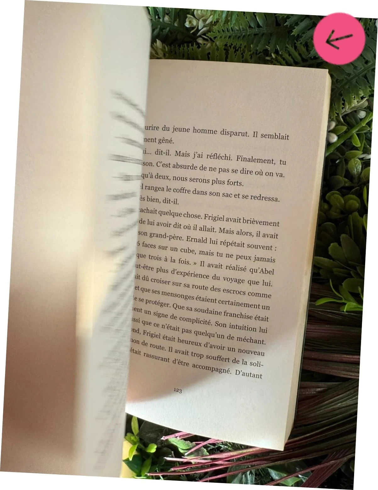 Frigiel book and fluffy the return of the Ender dragon – photo 4